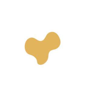 9373756a-placeholder-1768562824