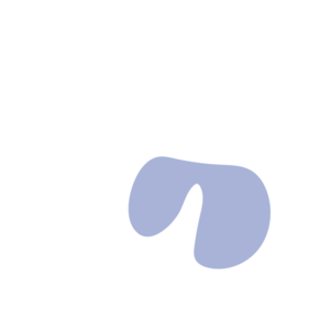 Bc65abca-placeholder-1768562823