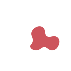 B052d14f-placeholder-1768562823