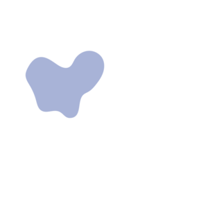 77bf108a-placeholder-1770053574