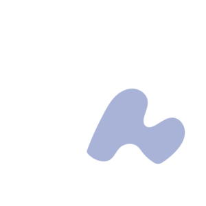 52166fe2-placeholder-1770038018