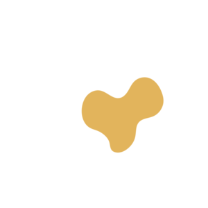 6bfc10d7-placeholder-1769995784