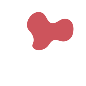 E6f35653-placeholder-1768562819