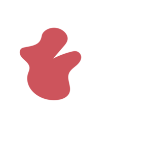 0669b2df-placeholder-1768562819