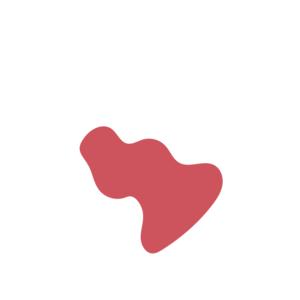 D56a1aea-placeholder-1768562819