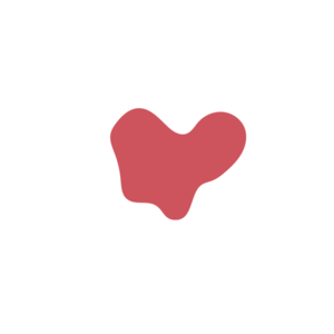 754ee153-placeholder-1770005749