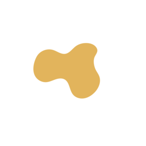 C476cbbd-placeholder-1773372951