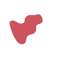 11d687c7-placeholder-1768562817