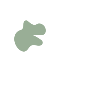 7bd7861e-placeholder-1768562744