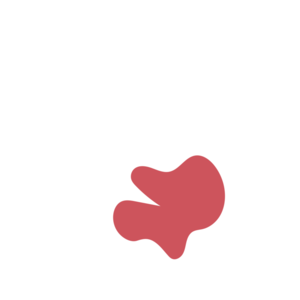 0c5a9331-placeholder-1768562744