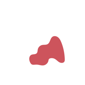 88767389-placeholder-1768562742