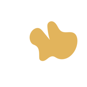 792e01b1-placeholder-1770007019