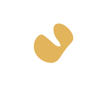 258ecd25-placeholder-1769996702