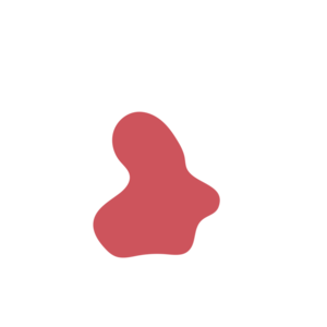 4107ba86-placeholder-1768562741