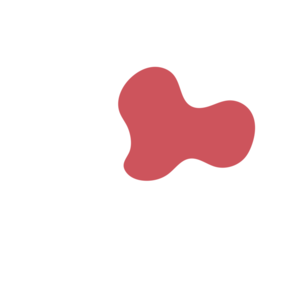 68fc0dd0-placeholder-1770032114