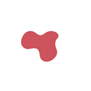 Df5d2d01-placeholder-1769998969