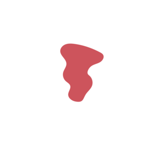 96487345-placeholder-1770056226