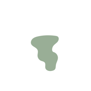 2e294c85-placeholder-1770022671