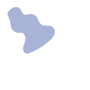 8c6a0afa-placeholder-1768562739