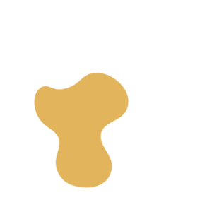 2c128c35-placeholder-1768562739