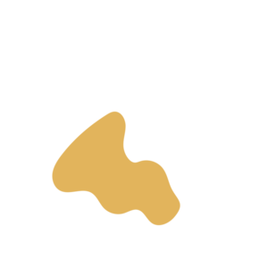 706d483a-placeholder-1771604218