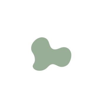 2bfcf779-placeholder-1768562737