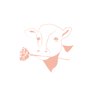 Milk-and-rose-1773718651