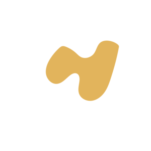 A498b468-placeholder-1768562737