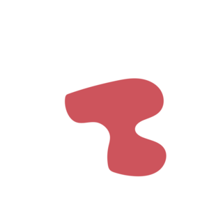 8256c0f9-placeholder-1768562737