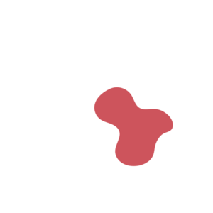 Ddccf78e-placeholder-1770018662