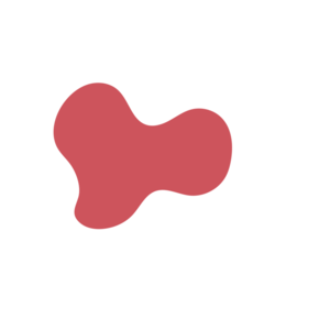 B73b3ea5-placeholder-1768562736