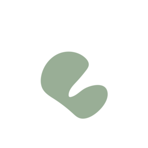 86fa4853-placeholder-1768562407