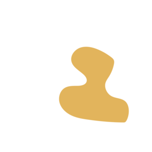 0a4b68e2-placeholder-1770005422