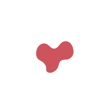 2baaf878-placeholder-1768562408