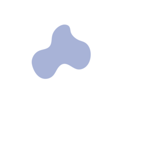 C858531c-placeholder-1771069231