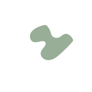 926243b5-placeholder-1768562407