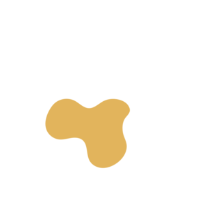 Bbb26a98-placeholder-1770075134