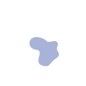 C138a332-placeholder-1770005627