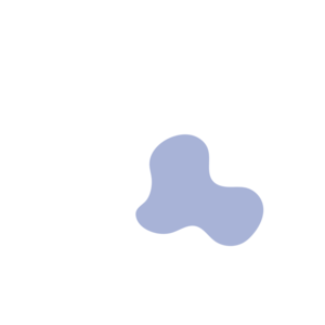 5cd25a1c-placeholder-1768562405