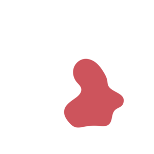 5991a8b7-placeholder-1768562405