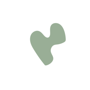 9665bfc5-placeholder-1768562404