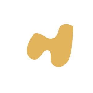 3a03f819-placeholder-1770017174