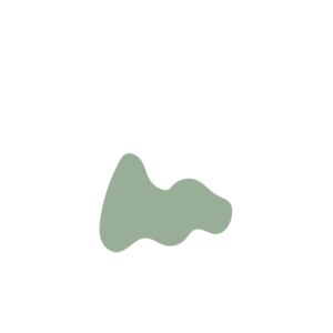 9c65e4ff-placeholder-1769995973