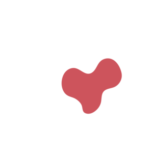 8b918db5-placeholder-1769018376