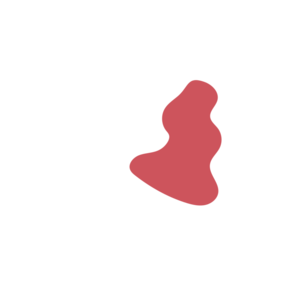 571f0f3c-placeholder-1770022850