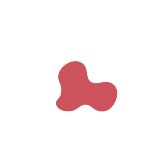 Cbcab102-placeholder-1768562402