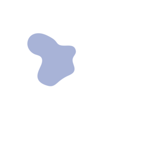 A2a63ba4-placeholder-1768562401