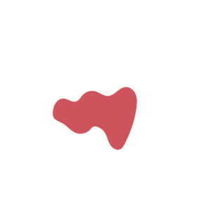 84e2f9ba-placeholder-1768562402