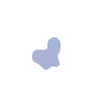 229e0448-placeholder-1768562322