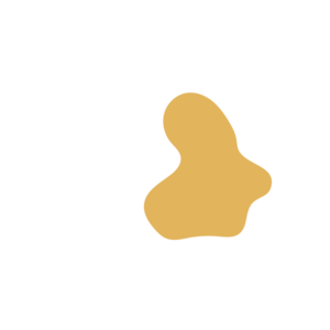 F348fea8-placeholder-1768562319